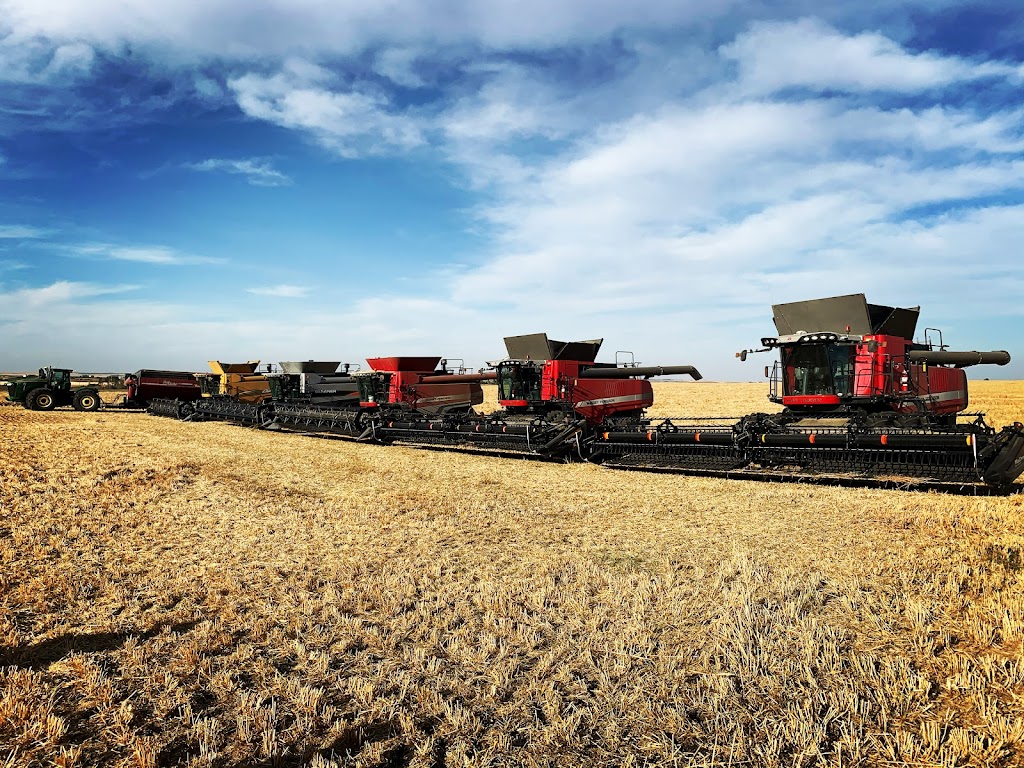 Magnum Opus Inc. | 252066 Township Rd 250, AB, T1P 0J1, Canada | Phone: (403) 934-8295