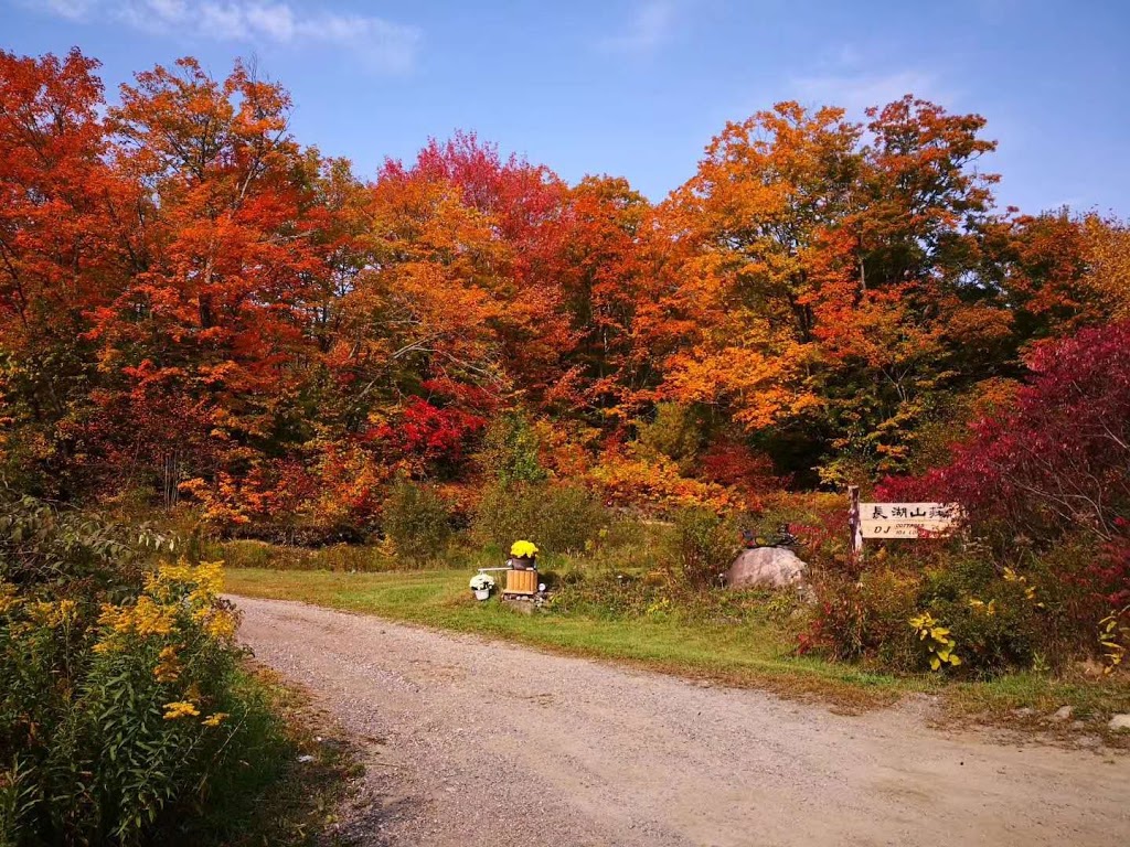 DJ Cottages | 104 Longs Lake Rd, Utterson, ON P0B 1M0, Canada | Phone: (416) 567-6538