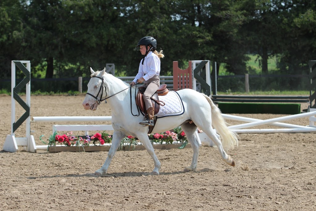 Findaway Equestrian Services Inc. | 560 Snyders Rd E, Baden, ON N3A 3L1, Canada | Phone: (519) 634-9751