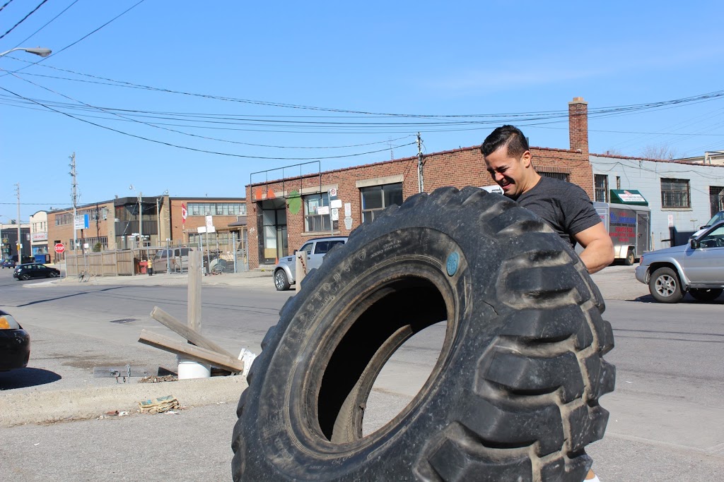 Theodore Lim - Trainer | 217 Emerson Ave, Toronto, ON M6H 3T7, Canada | Phone: (416) 799-1139