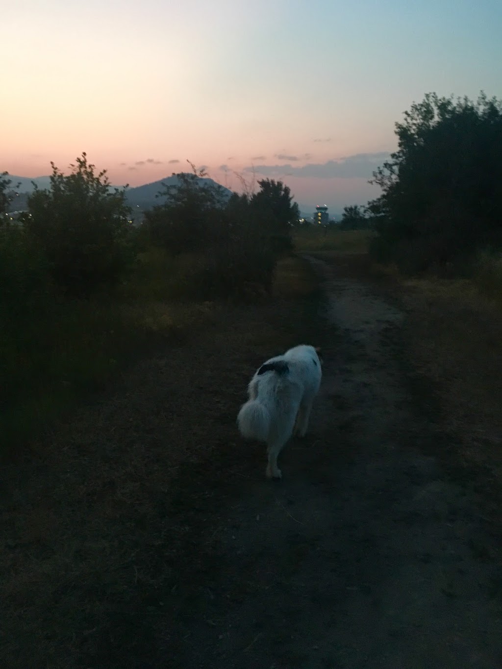 Ellison Dog Park | 4720 Old Vernon Rd, Kelowna, BC V1X 7V6, Canada