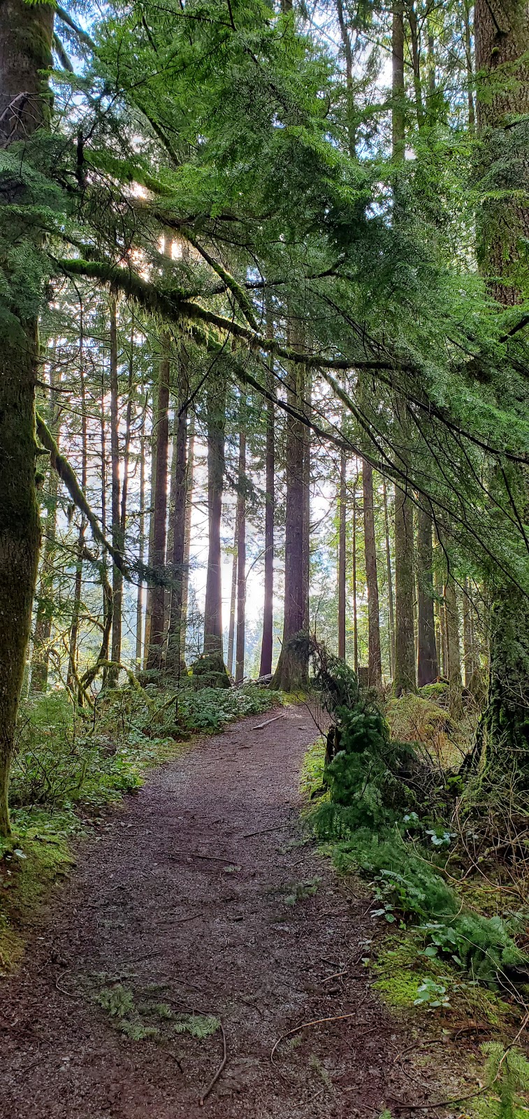 Camp Whonnock | 27660 Dewdney Trunk Rd, Maple Ridge, BC V2W 1Y9, Canada | Phone: (604) 462-7012