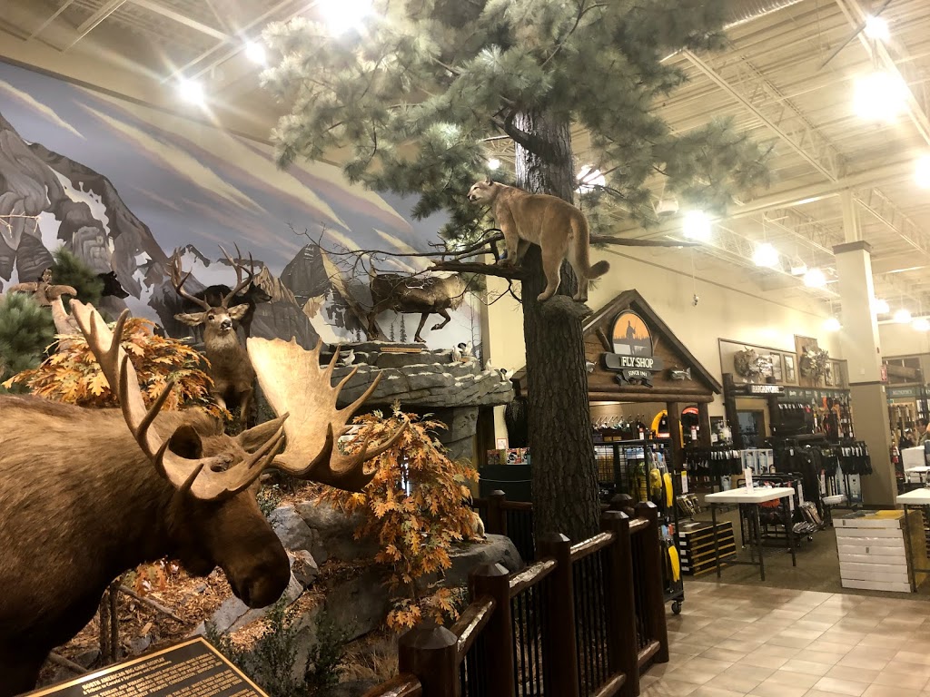 Cabelas Nanaimo | 6902 N Island Hwy, Nanaimo, BC V9V 1P6, Canada | Phone: (250) 390-7800