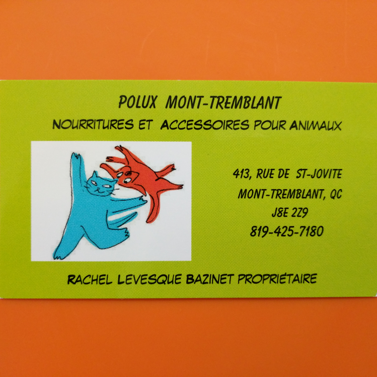 Polux | 413 Rue de St Jovite, Mont-Tremblant, QC J8E 0R6, Canada | Phone: (819) 425-7180
