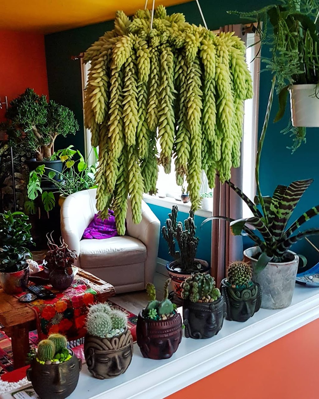 The Feathered Serpent | 203 Calvington Dr, North York, ON M3M 2M8, Canada | Phone: (647) 568-8215