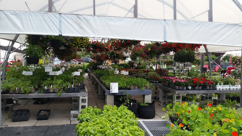 Bio Horticentre Méristème | 235 Chemin Eardley, Gatineau, QC J9J 2Y8, Canada | Phone: (819) 684-6969