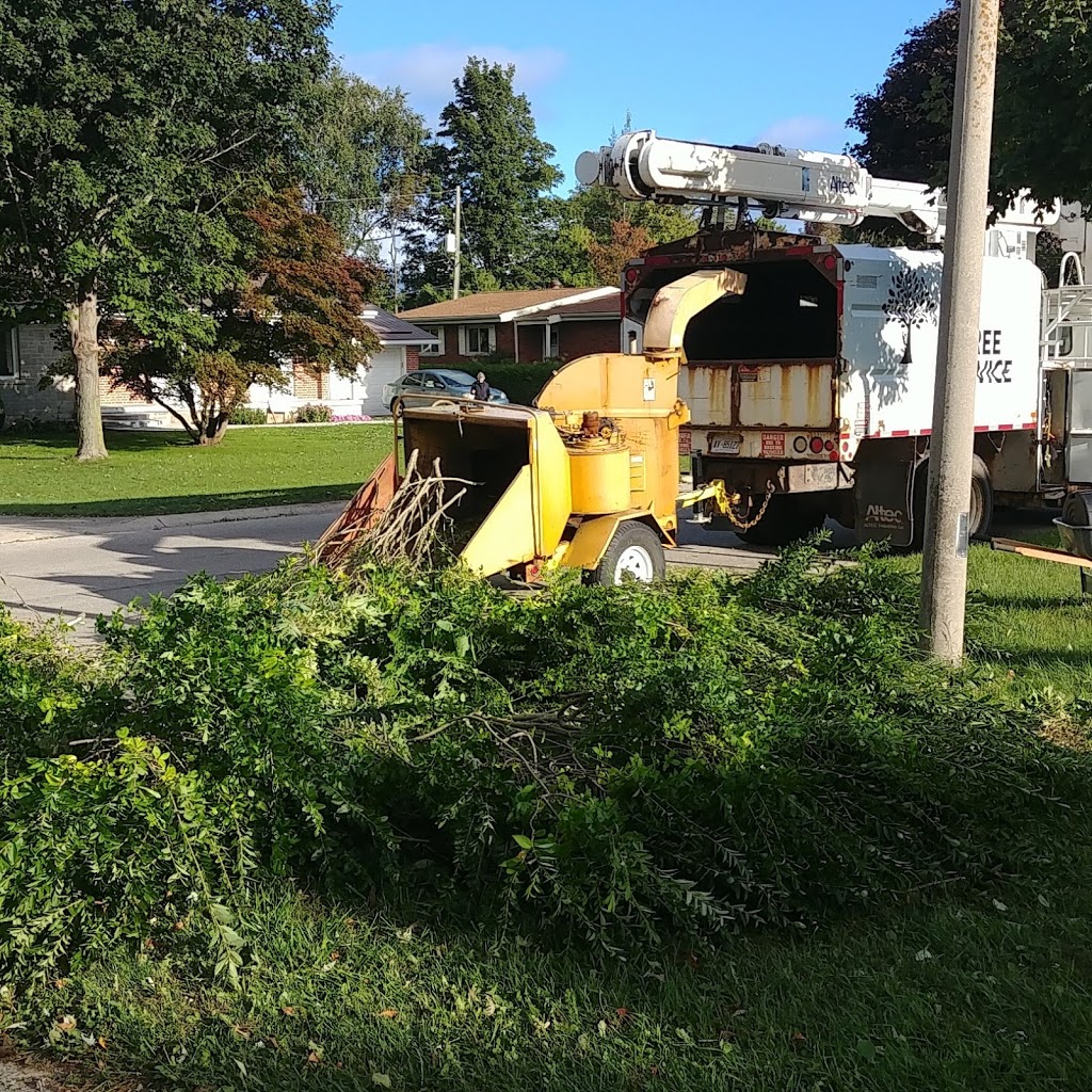Lakeshore Tree Service | 281 Summerside Pl, Port Elgin, ON N0H 2C2, Canada | Phone: (519) 368-7893