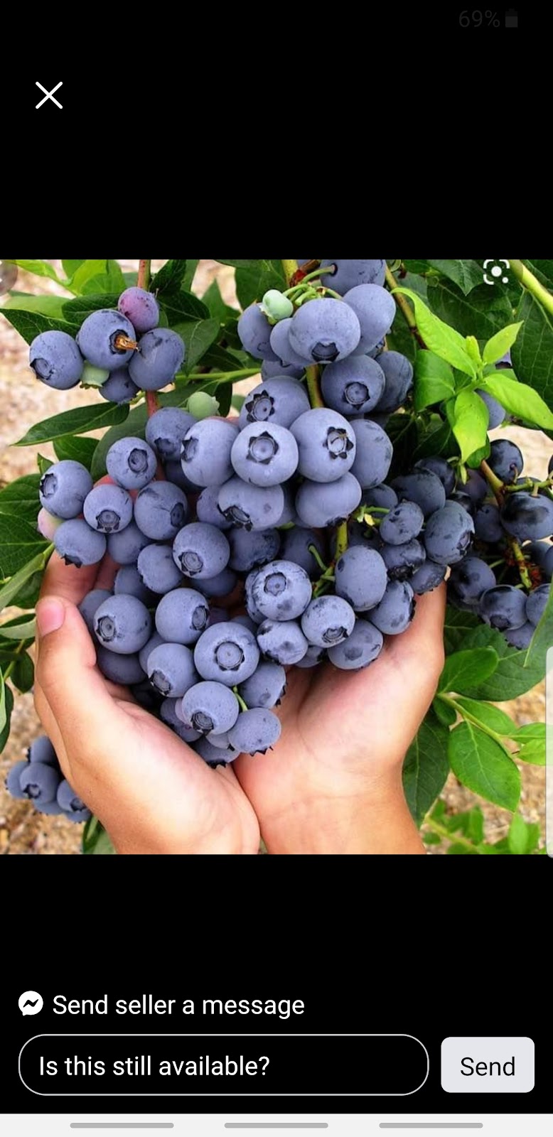Piara & Sons Farms inc | 29136 Townshipline Rd, Abbotsford, BC V4X 1S1, Canada | Phone: (604) 309-7900