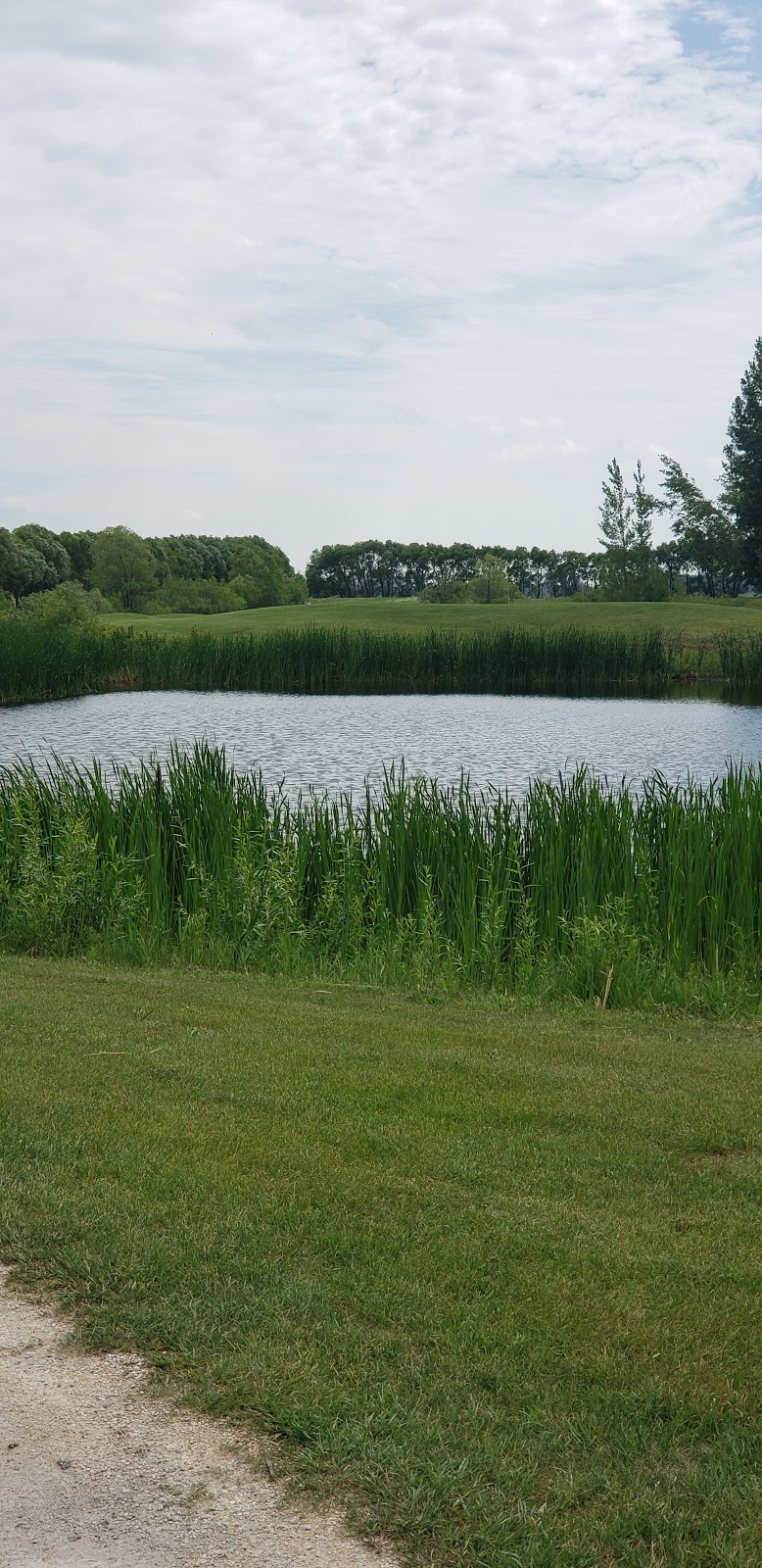 Southside Golf Course | 2226 Southside Rd, Grande Pointe, MB R5A 1K1, Canada | Phone: (204) 254-6709