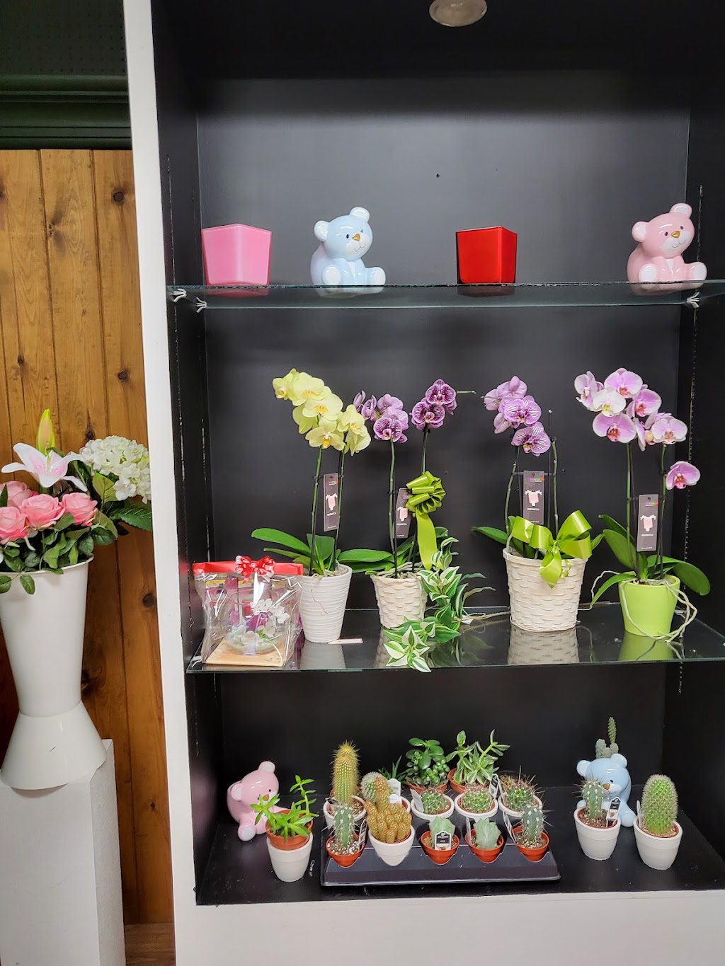Fleuriste Reine des Fleurs | 626 Ave Royale, Québec City, QC G1E 1Y7, Canada | Phone: (418) 579-4430