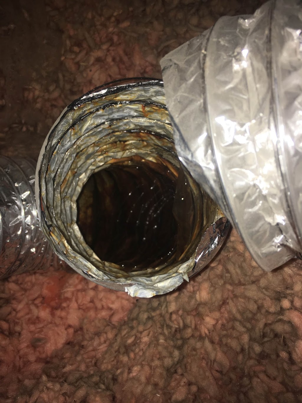 Comfort Home Attic Insulation | 3670 63 Ave NE Unit 250, Calgary, AB T1Y 2R6, Canada | Phone: (403) 479-6413