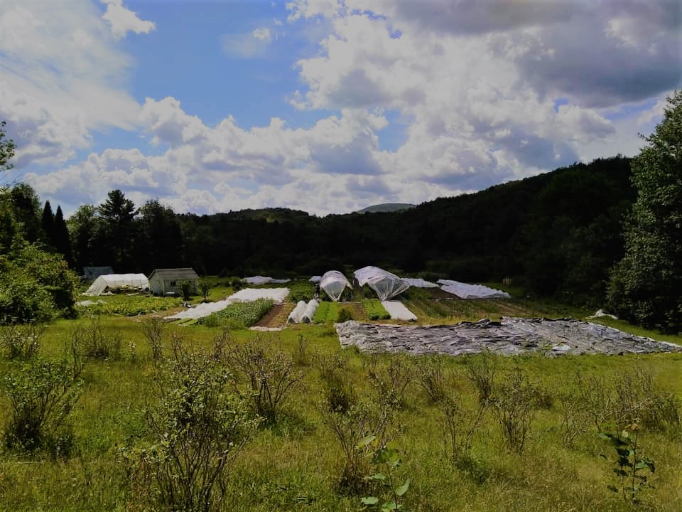 Les Jardins Bolton | 2 Rue Terrio, Bolton-Est, QC J0E 1G0, Canada | Phone: (514) 265-5354