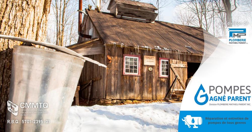 Pompes Gagné Parent | 7 Rue Industrielle, Saint-Bernard, QC G0S 2G0, Canada | Phone: (418) 587-3764