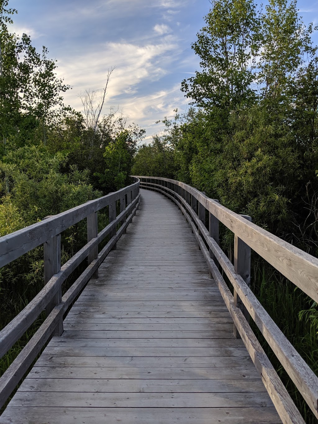 Sackville Waterfowl Park | 34 Mallard Dr, Sackville, NB E4L 1G6, Canada | Phone: (506) 364-4930