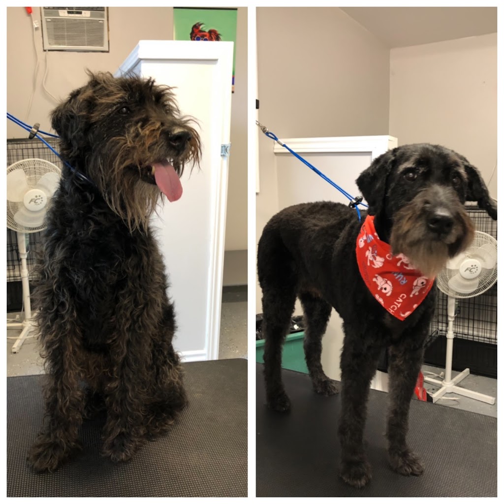 Paws-itive Vibes Dog Spa | 445133 Gunns Hill Rd, Woodstock, ON N4S 7V8, Canada | Phone: (226) 232-6575