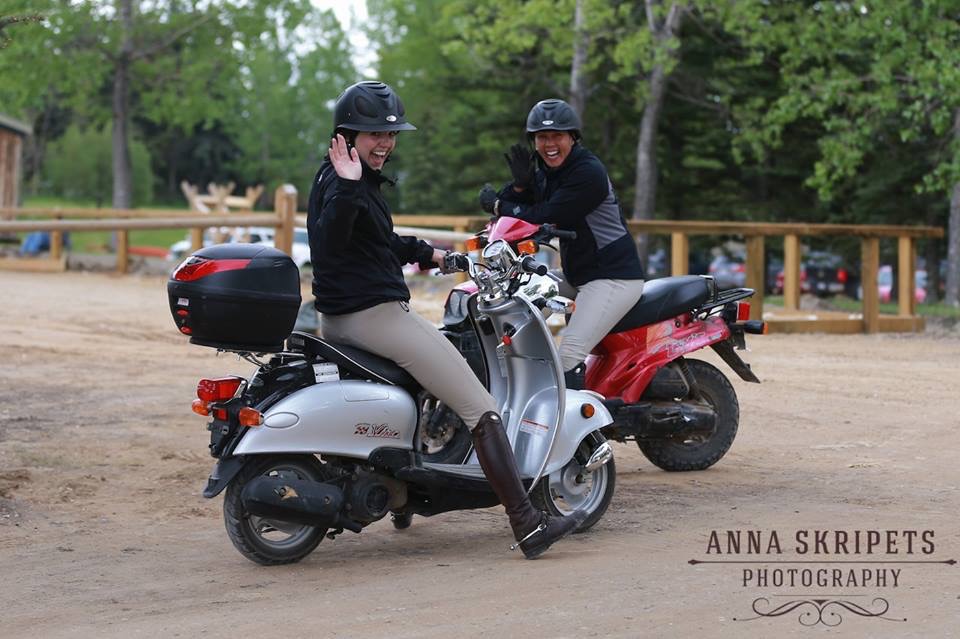 Wachter Horses | 34459, Range Rd 282, Red Deer County, AB T4G 0G3, Canada | Phone: (403) 588-4888