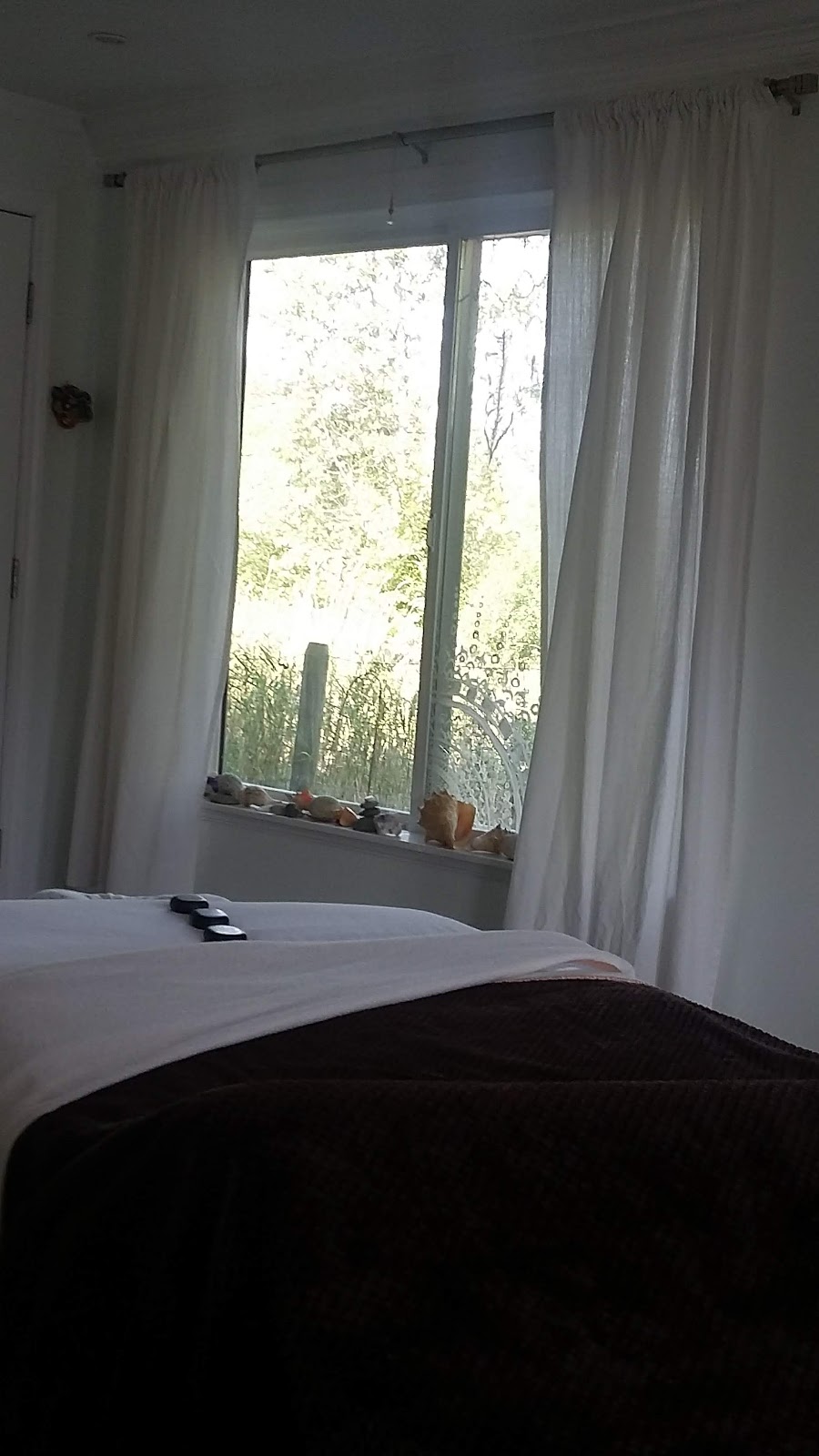 Blue Turtle Spa | 10910 Bottom Wood Lake Rd, Lake Country, BC V4V 1V8, Canada | Phone: (778) 257-6340