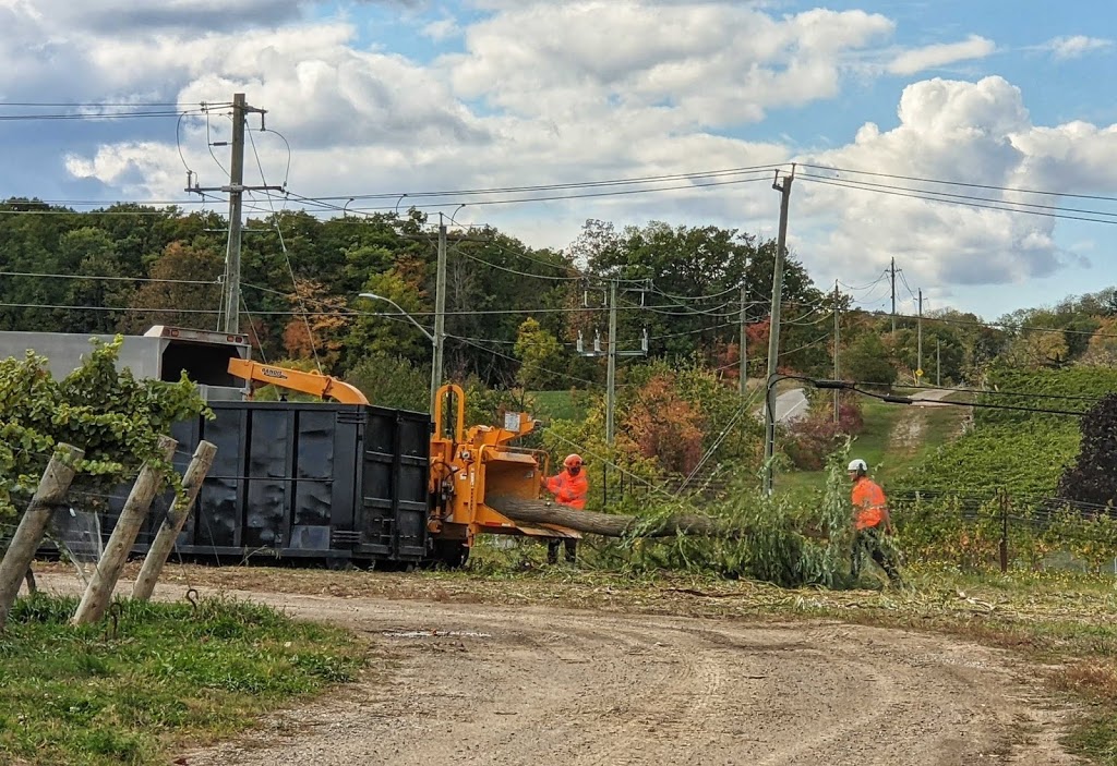Safe Tree Ltd. | 2795 Moyer St, Fenwick, ON L0S 1C0, Canada | Phone: (289) 650-1775