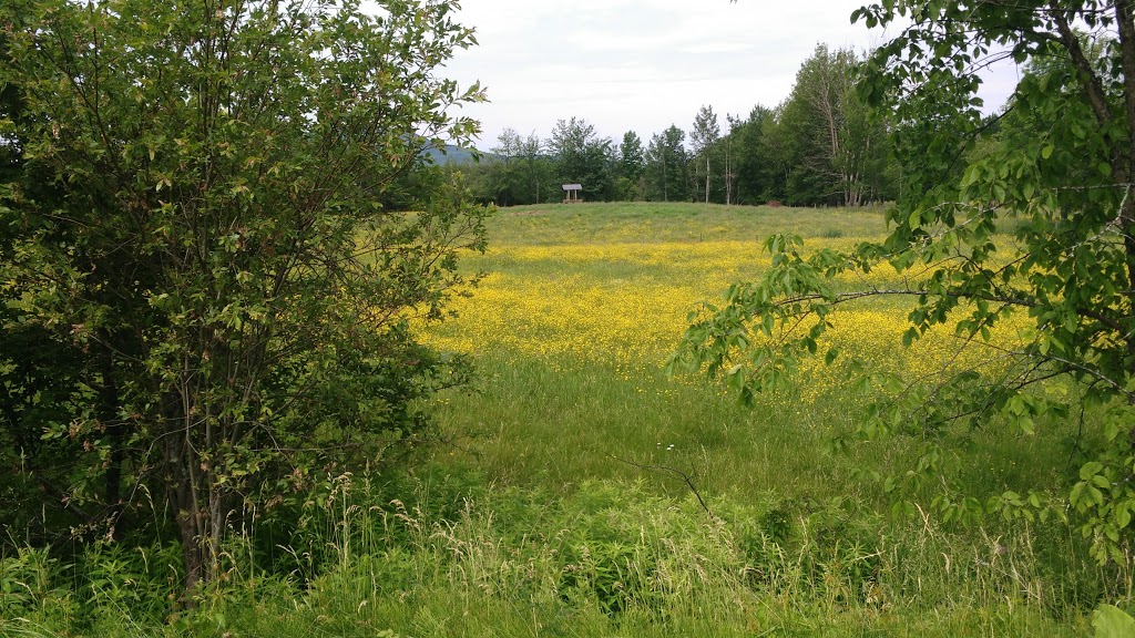 Wrights General Store | 69 Chemin Davis, Fulford, QC J0E 1S0, Canada | Phone: (450) 539-2982
