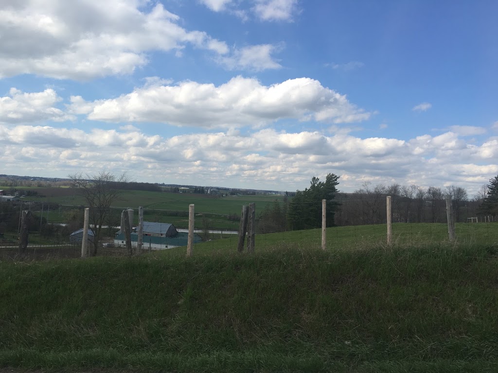 A B Gensets Inc | 3347 Ament Line, Wallenstein, ON N0B 2S0, Canada | Phone: (519) 699-5712