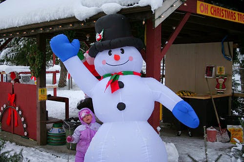 Oh Christmas Tree Farm | 21858 Maxwell Crescent, Langley City, BC V2Y 2P9, Canada | Phone: (604) 805-5052