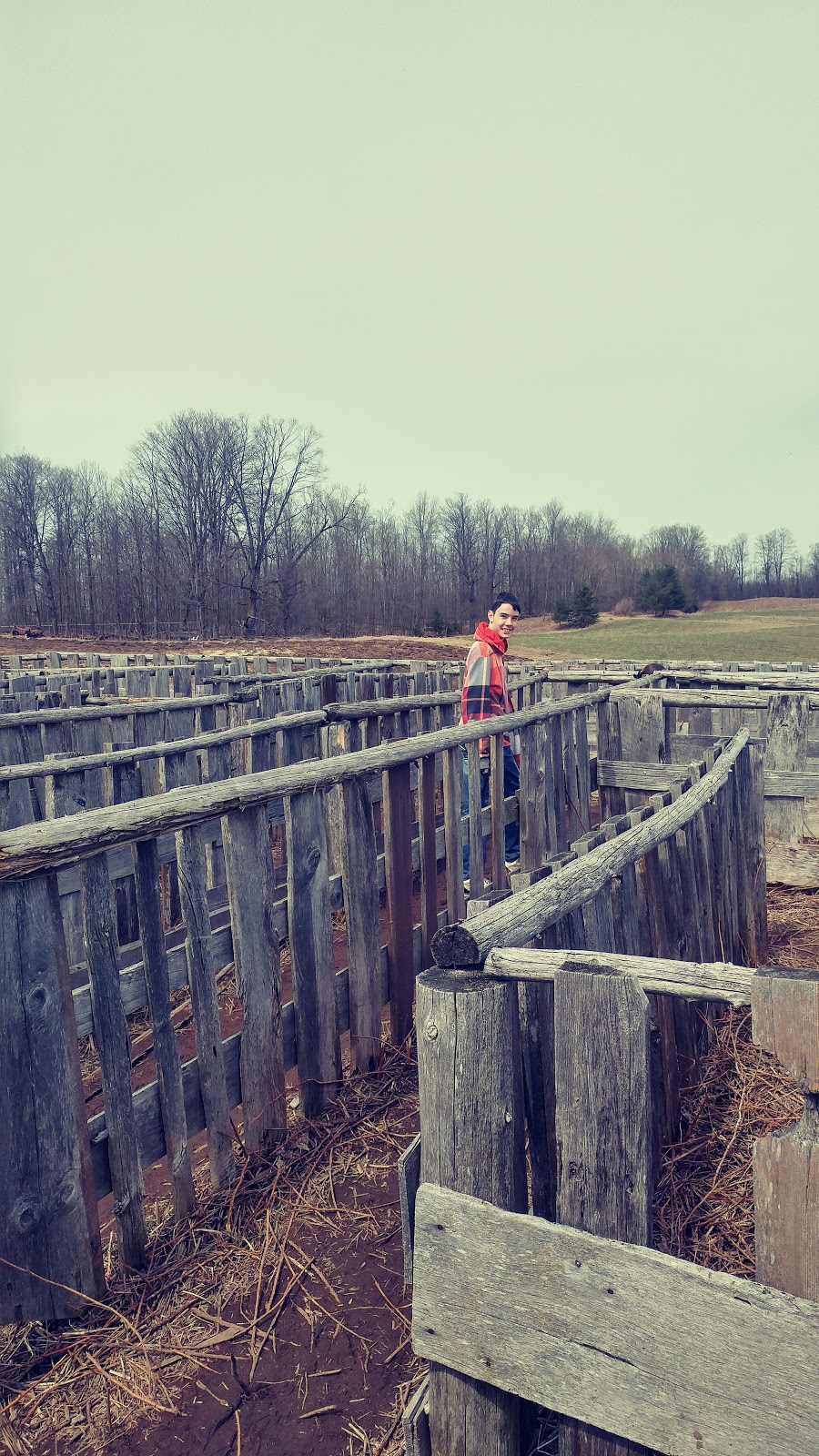 Loves Sweetness Maple Syrup | 392098 Grey County Rd 109, Holstein, ON N0G 2A0, Canada | Phone: (519) 334-3490