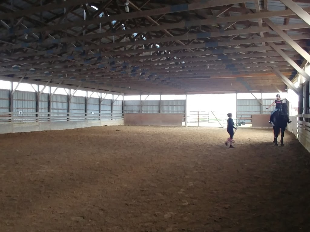Beyond The Trail | 7186 9 Line, Chatham, ON N7M 5J6, Canada | Phone: (226) 626-0936