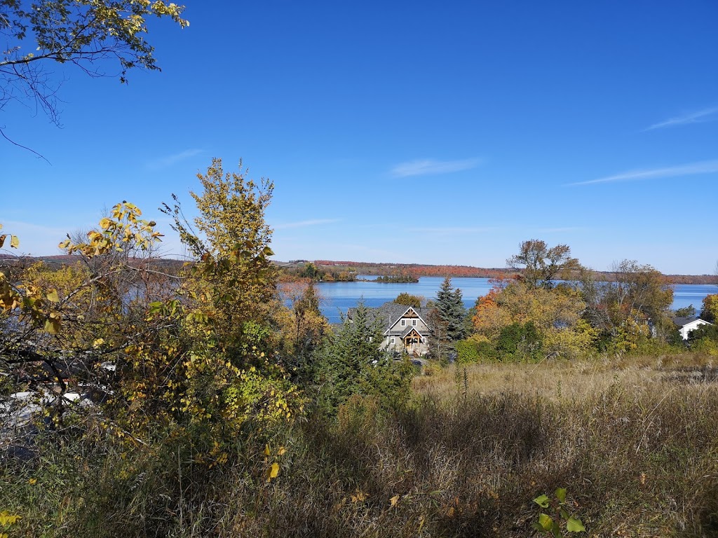 Willowood Camp | 4 Parker Drive (exit 474B from, ON-401, Roseneath, ON K0K 2X0, Canada | Phone: (416) 939-5906