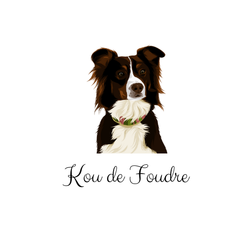 Kou de Foudre | store | 101 4e Rang S, Saint-Jean-sur-Richelieu, QC J2X 5V1, Canada | 4503692361 OR +1 450-369-2361