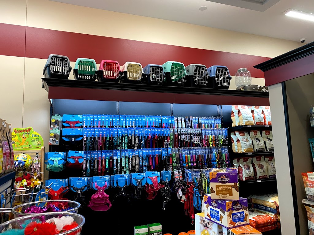 Pitou Minou & Compagnons Global / Global PetFood | 3 Boulevard de Sardaigne, Candiac, QC J5R 0A1, Canada | Phone: (450) 241-6330