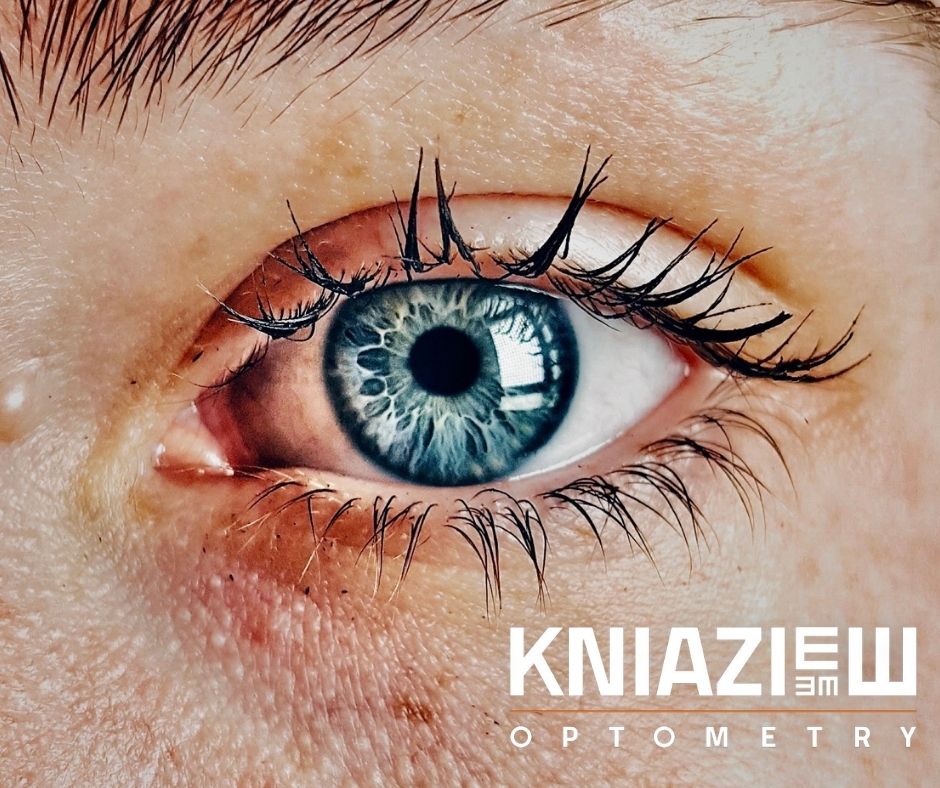 Kniaziew Optometry | 434 St George St, Dresden, ON N0P 1M0, Canada | Phone: (519) 683-6213