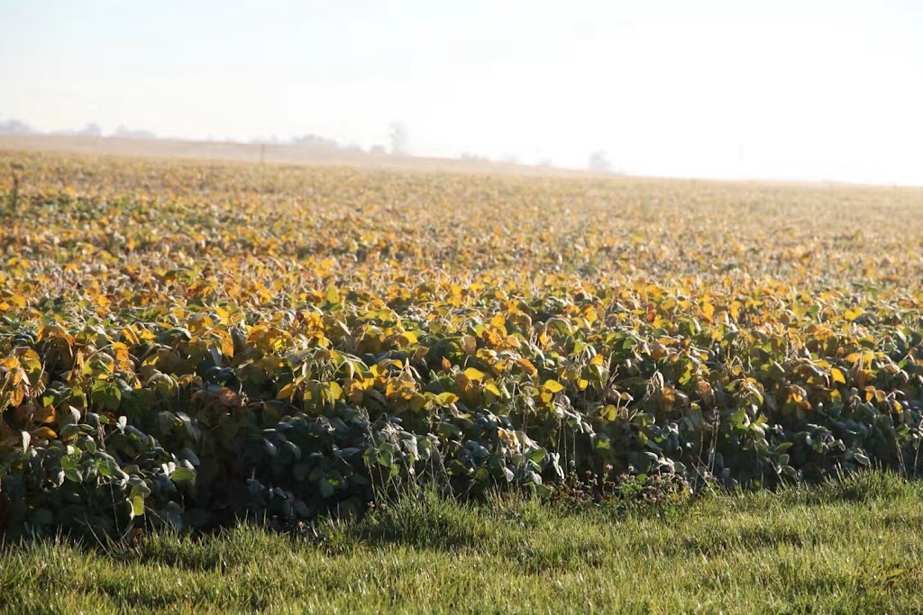 Daniel & Grace organic farm | 522 Mines Rd, Caledonia, ON N3W 1X9, Canada | Phone: (905) 769-0517