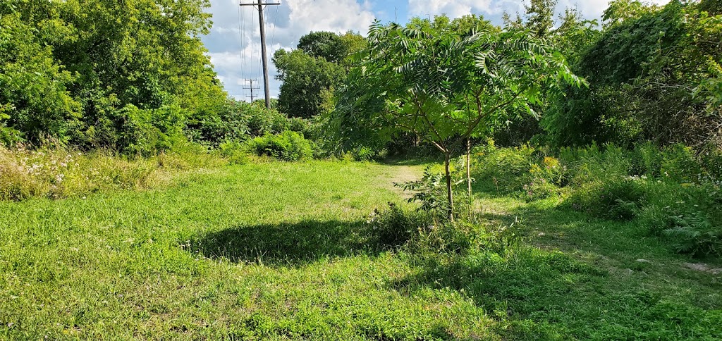 Saugeen Shores Off-Leash Dog Park | 961 Lehnen St, Port Elgin, ON N0H 2C4, Canada | Phone: (519) 832-2008