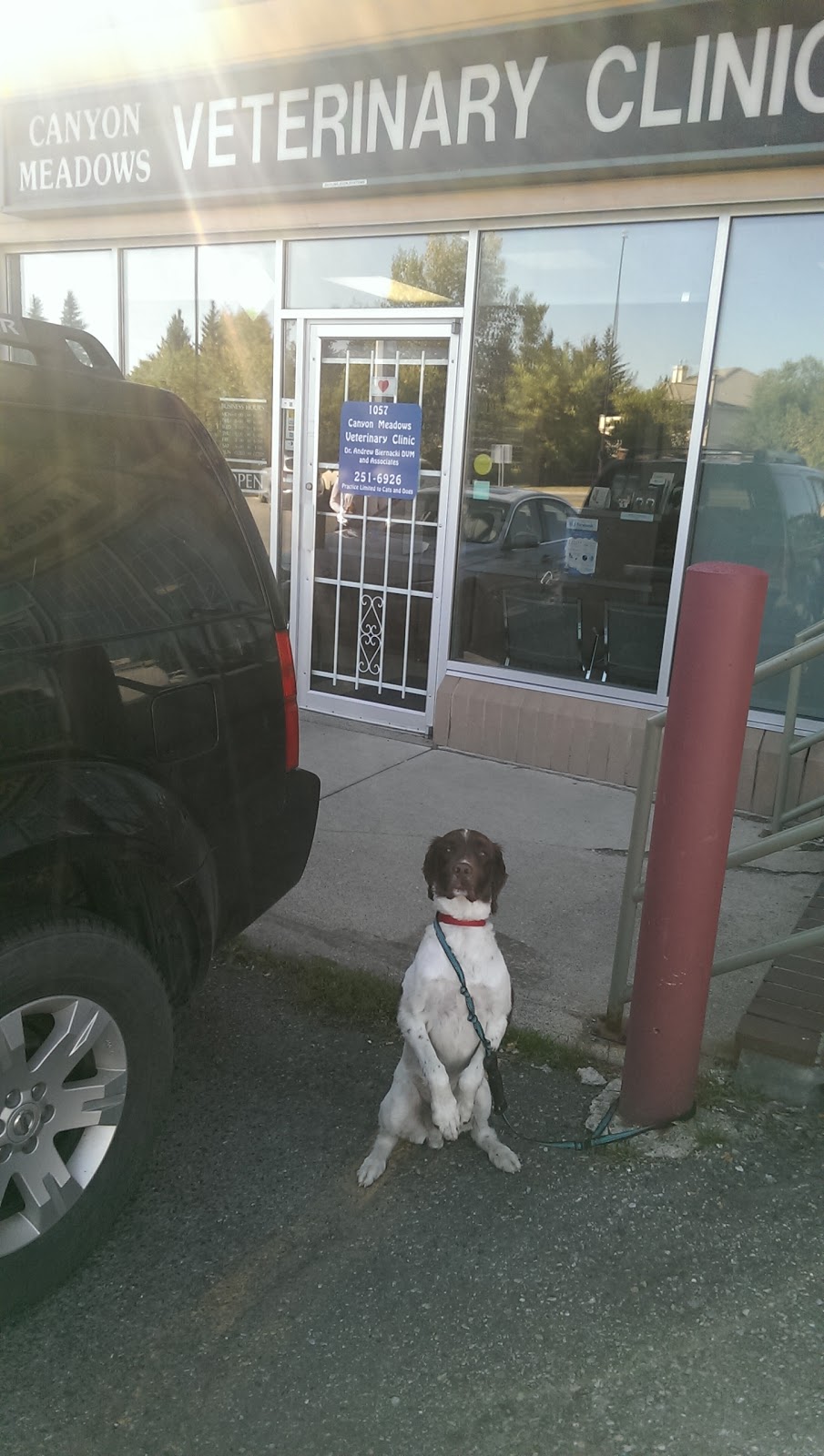 Canyon Meadows Veterinary Clinic | 1057 Canyon Meadows Dr SW, Calgary, AB T2W 5V3, Canada | Phone: (403) 251-6926