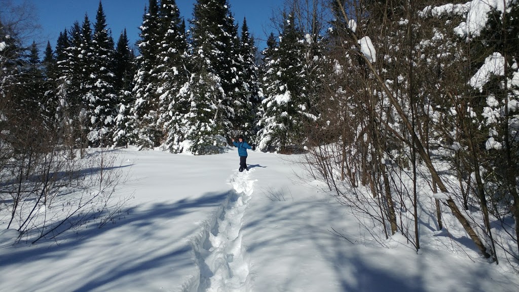 Domaine Beauregard Par 3 | 35 Rue Grenier, Sutton, QC J0E 2K0, Canada | Phone: (579) 488-4216