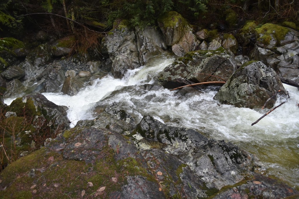 QAI Labs Outdoor Test Site | Marc Rd, Maple Ridge, BC V4R 2G5, Canada | Phone: (877) 461-8378