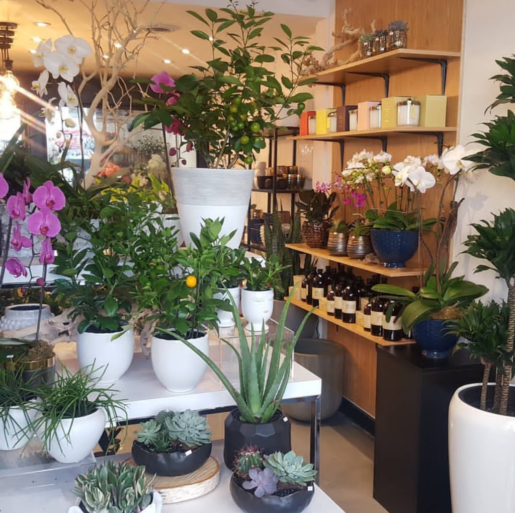 The Flower Project | 1-901 Yonge St, Toronto, ON M4W 2H2, Canada | Phone: (647) 493-1331