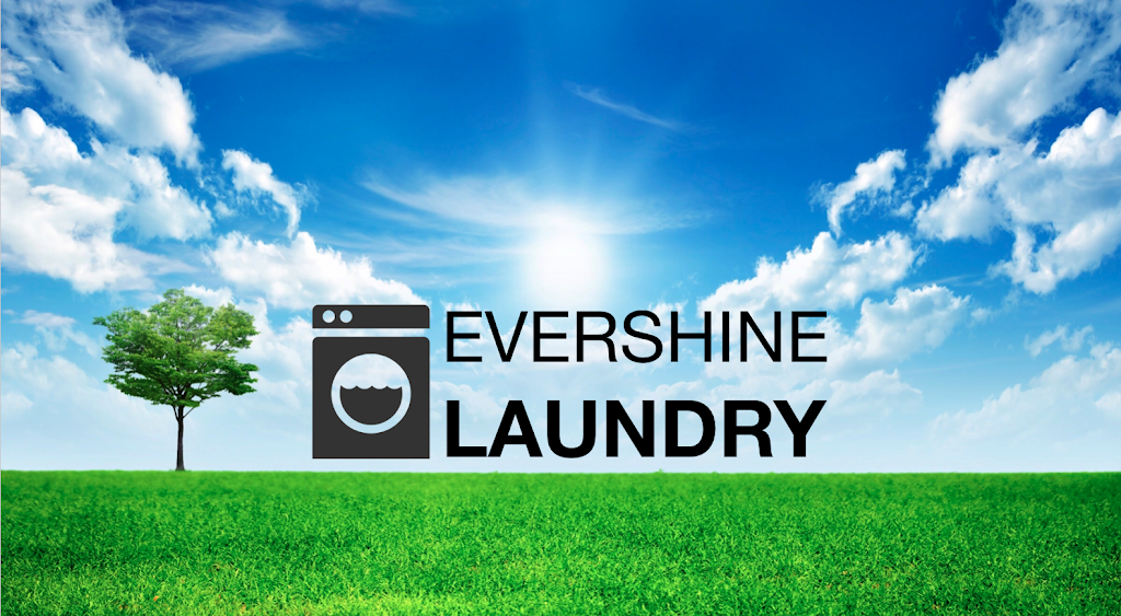 Evershine Laundry | laundry | 15299 68 Ave #122, Surrey, BC V3S 2C1, Canada | 7785651455 OR +1 778-565-1455