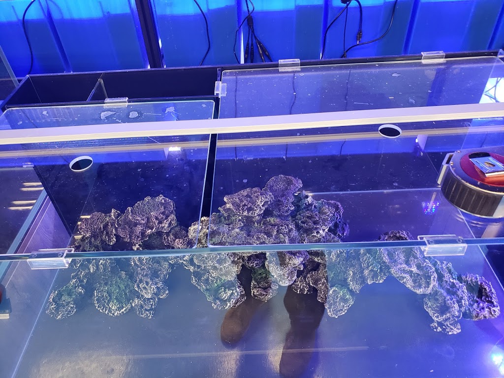 Under The Sea Inc. | 45 Scott Street West, St. Catharines, Ontario, L2R 1E