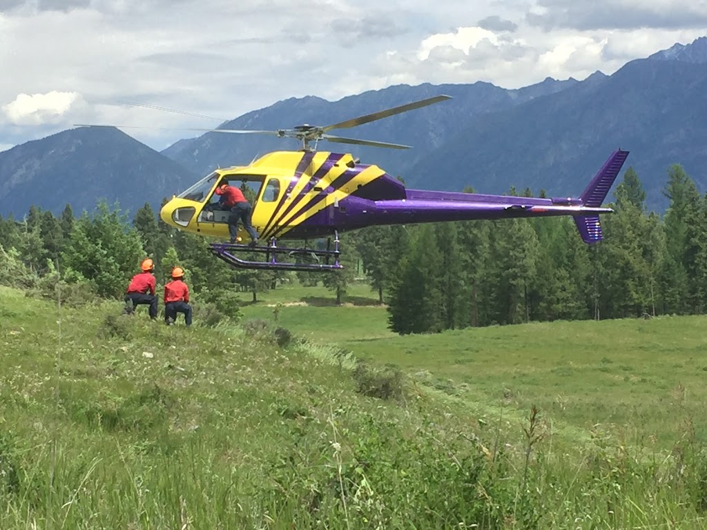BID AIR | 9426 Airport Access Rd, Cranbrook, BC V1C 7E4, Canada | Phone: (250) 426-8888