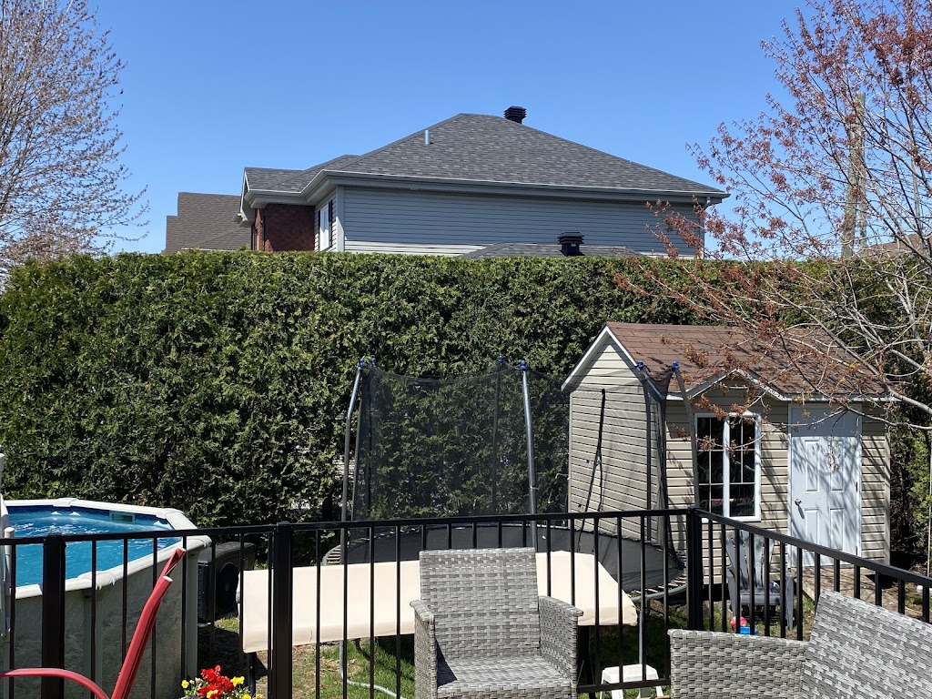 Taille de haies rive sud | 8345 Boulevard du St Laurent, Brossard, QC J4X 0B9, Canada | Phone: (514) 623-3141