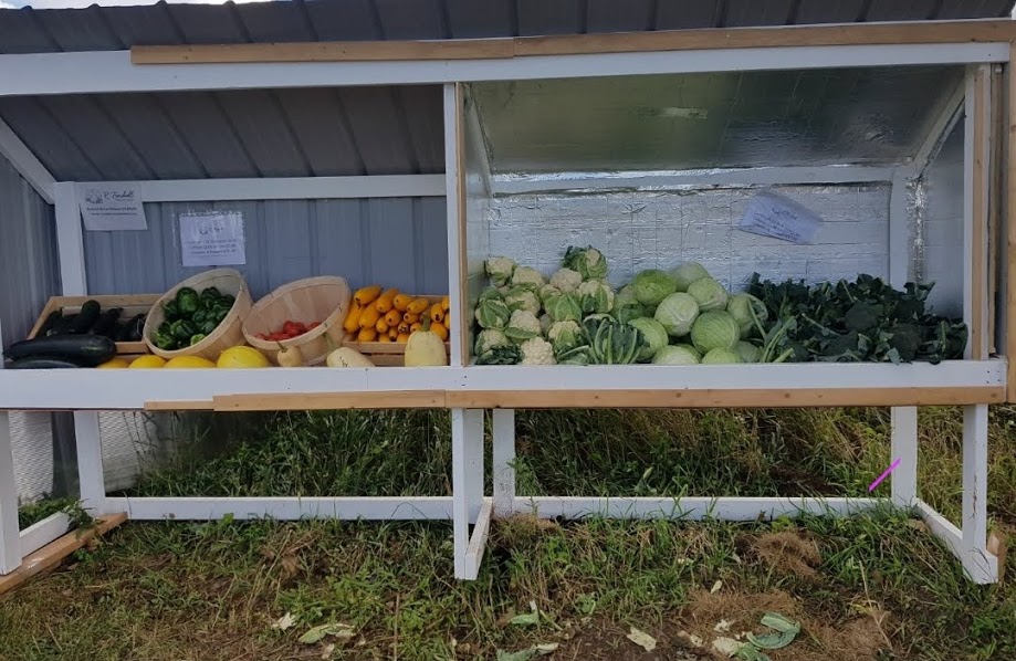 Tindall Farm & Market | 13669 Durham Regional Rd 1, Uxbridge, ON L9P 1R2, Canada | Phone: (416) 805-6760