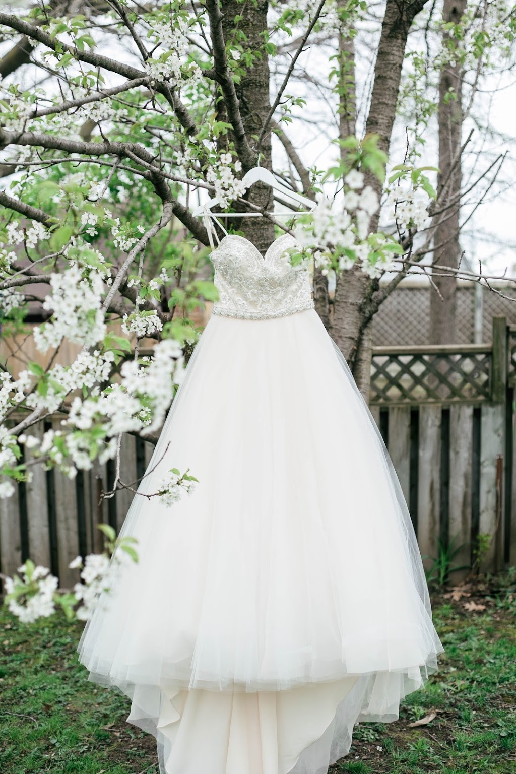 Melissa Photography & Design | 101 Hilltop Dr, Ayr, ON N0B 1E0, Canada | Phone: (226) 338-2209