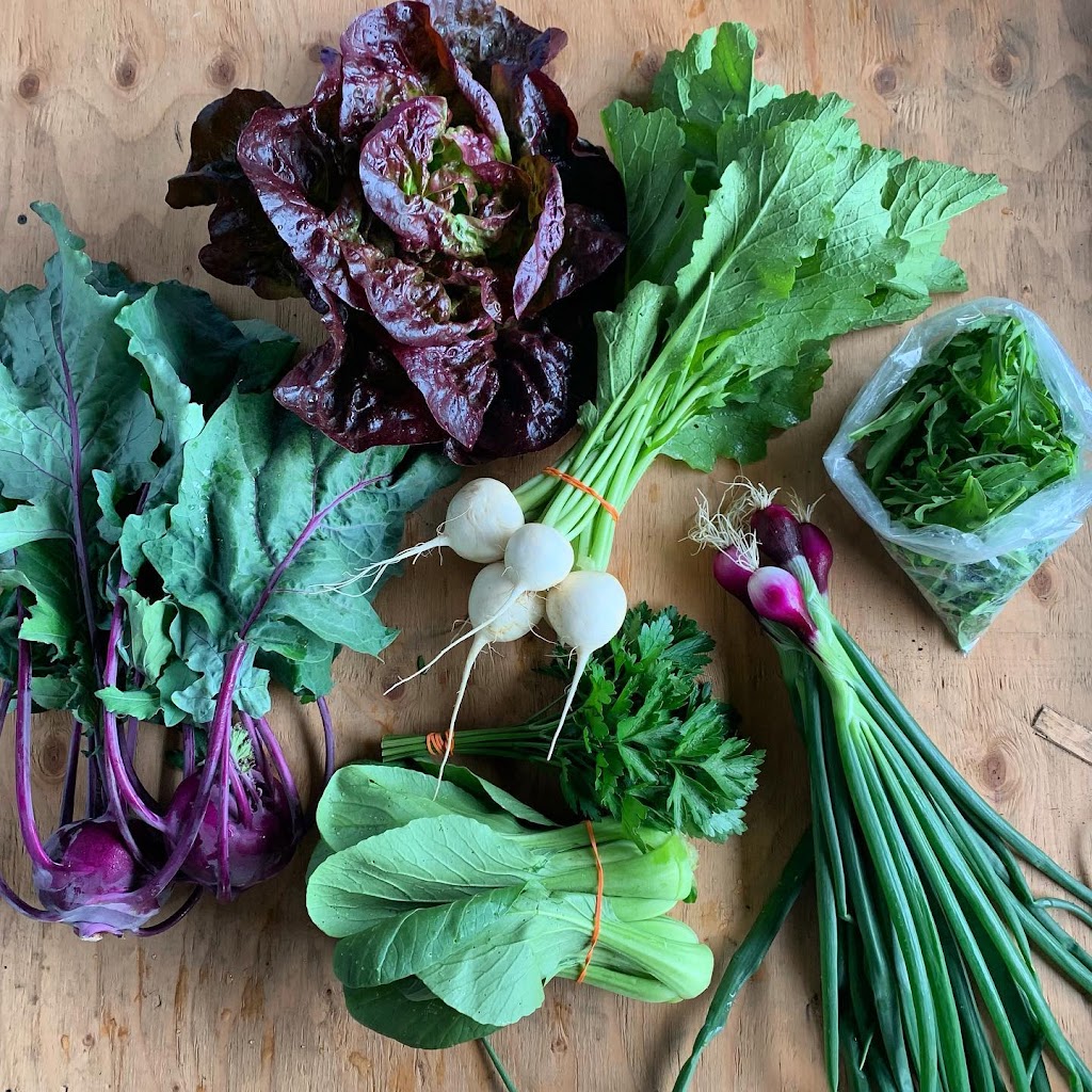 Ferme Two Beets Farm | 550 Chem. River, LAnge-Gardien, QC J8L 0M3, Canada | Phone: (416) 573-3606