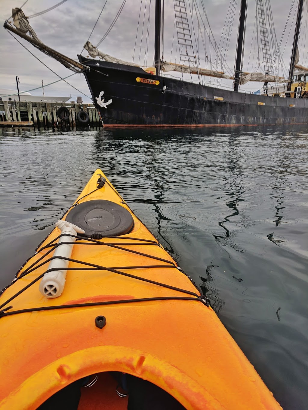 Kayak Halifax | 1521 Lower Water St, Halifax, NS, Canada | Phone: (902) 210-7728