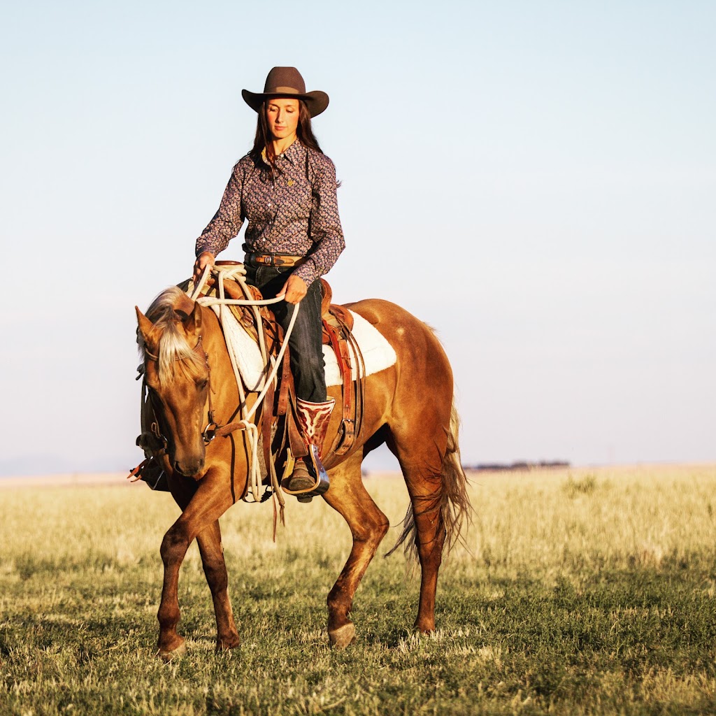 3R Horsemanship | Twp Rd 4-0 175045, Warner, AB T0K 2L0, Canada | Phone: (403) 795-2842