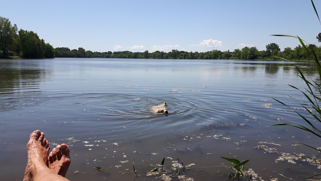 Parc Joseph-Laberge | Boulevard Salaberry N, Châteauguay, QC J6J 1A5, Canada | Phone: (450) 698-3000