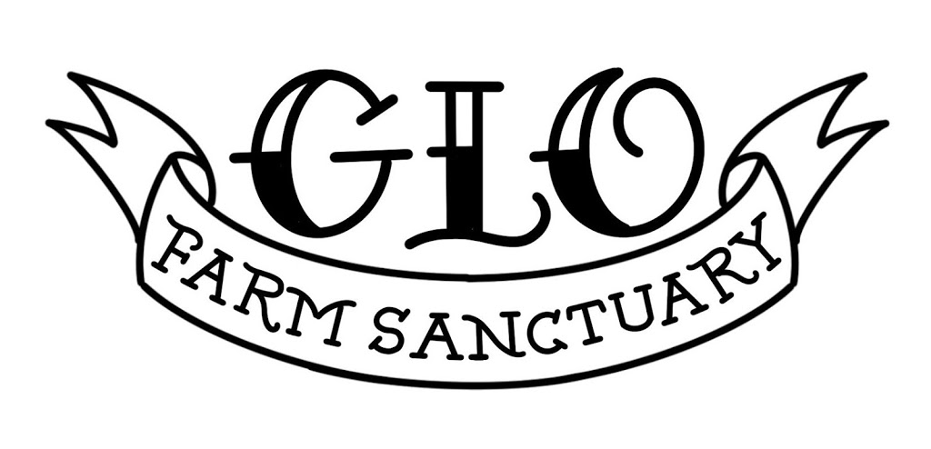 GLO Farm Sanctuary | 61026 Dufferin County Rd 3, East Garafraxa, ON L9W 7H5, Canada | Phone: (647) 898-4577