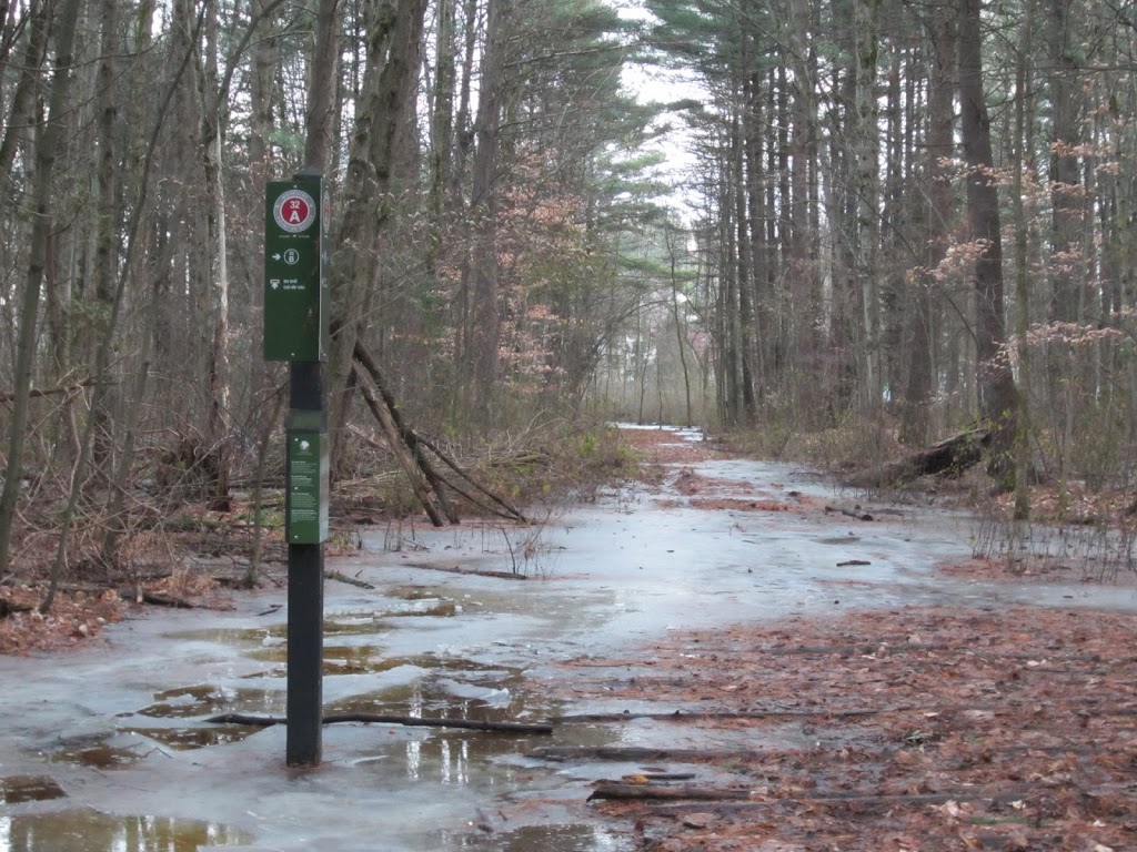 NCC Greenbelt P15 | NCC Trail 32E, Ottawa, ON K2G 3N3, Canada