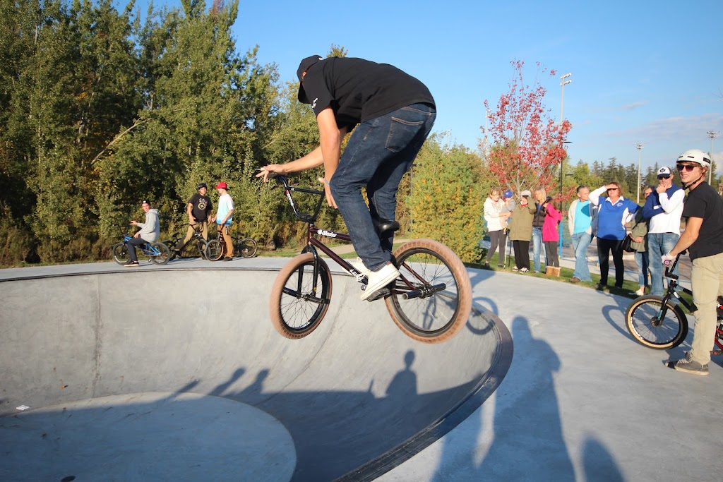 3 Musketears Skatepark | 415 Queen St, Acton, ON L7J 2L8, Canada | Phone: (905) 873-2600